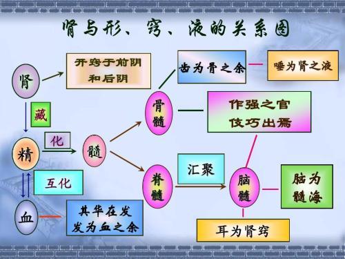 中医考研中医基础理论背诵歌诀！