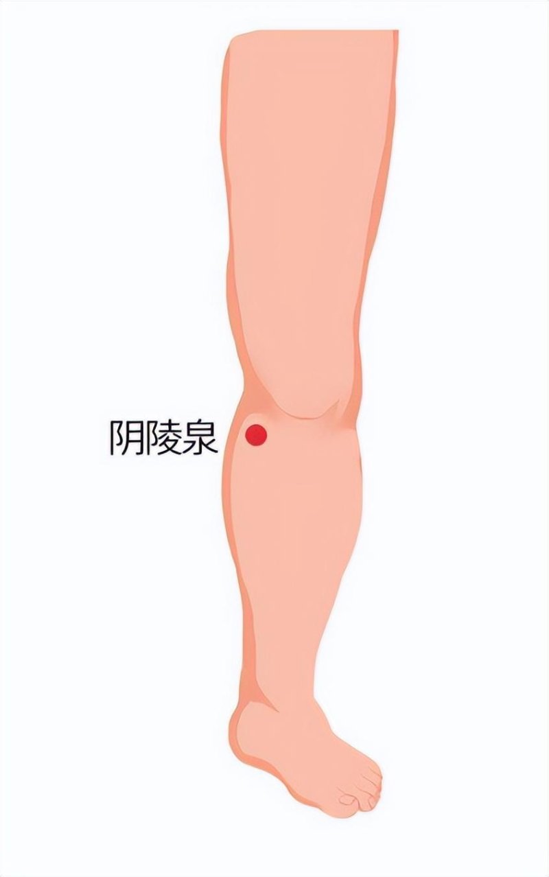 分层辨证 分方而治！全国多地发布中医药防治新冠肺炎方案(图8)