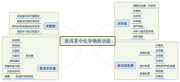 【大医观“茶”】最能“化”物，认识普洱茶传统与现代功效(图2)