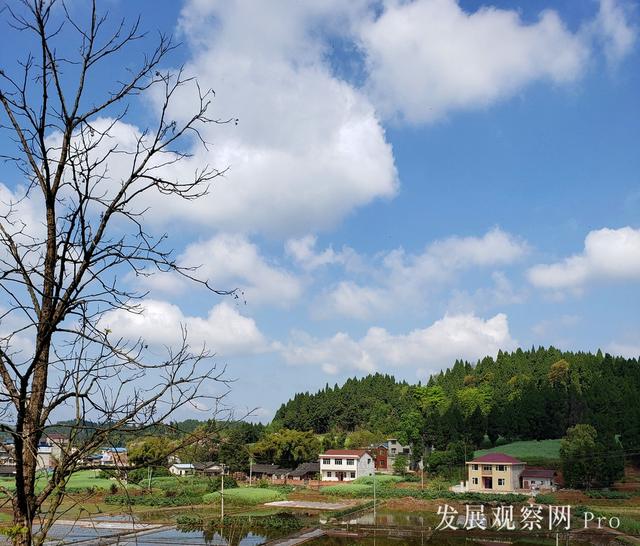 农家四月春已浓（组图）(图2)