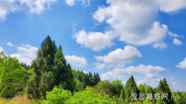 农家四月春已浓（组图）(图3)