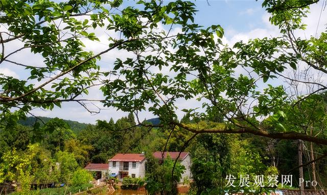 农家四月春已浓（组图）(图7)